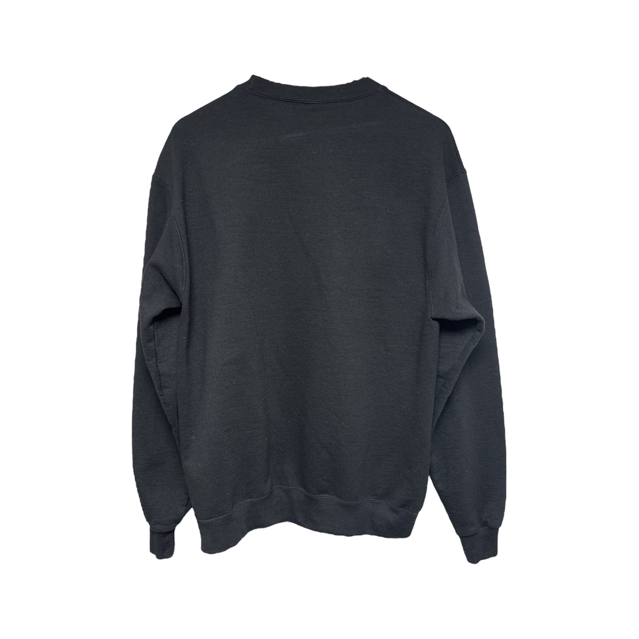 Vintage Champion Norse Sweatshirt-2